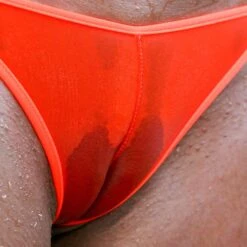 PLUG CamelToe Transparent - Bikini String Tanga