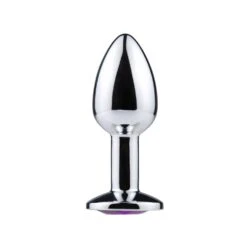 Edelstahl Anal Plug Mit 40mm Durchmesser -Aufreizende Bademode Anal Plug 04 1280x1280 1